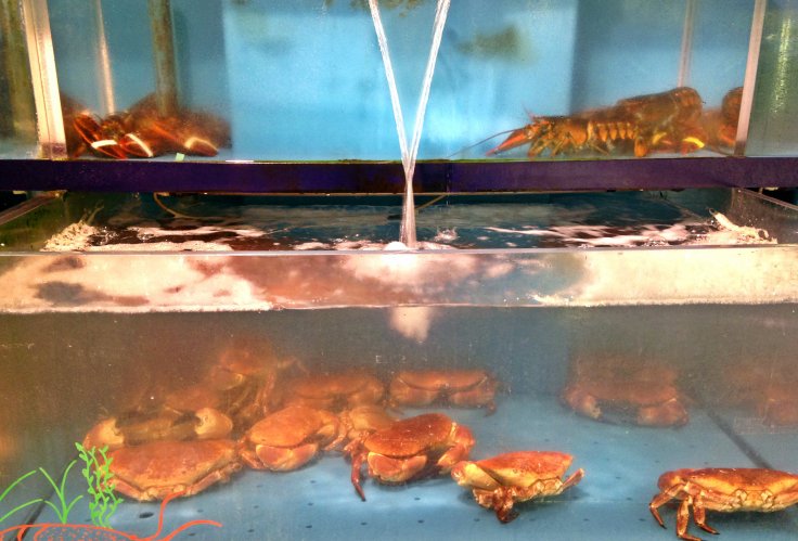 Fishmarket Oxford Osney Mead polina.rocks 2