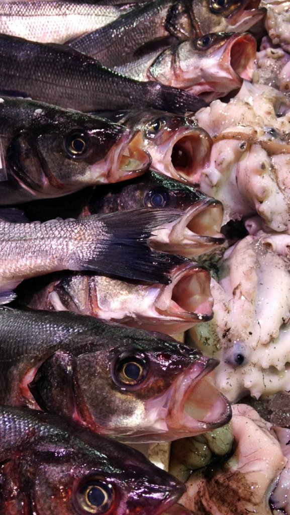 Fishmarket Oxford Osney Mead polina.rocks 8