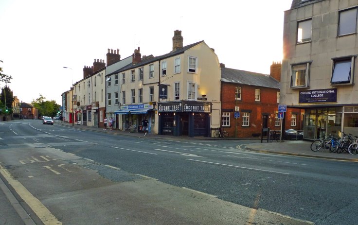 Coconut tree Oxford St Clems